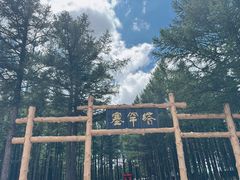 -塞罕坝国家级自然保护区