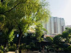 -文瀛公园