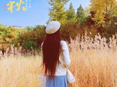 -玲珑塔公园