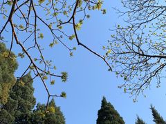 -贰號小院潮汕砂锅粥(前海西街店)