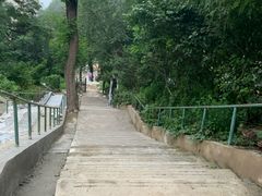 -风车面包