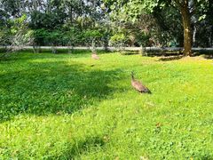 -北京麋鹿生态实验中心