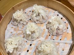 -老阿妈蒙古村·蒙古包·草原文化·歌舞表演(老君堂店)