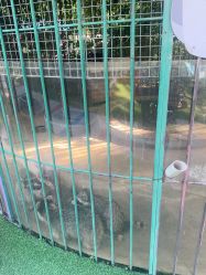 -萌宠亲子动物乐园(槐房万达店)