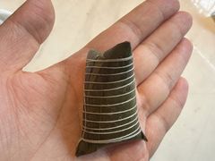 -绿波廊(豫园店)