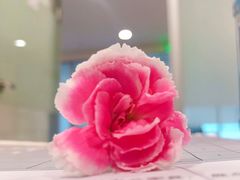 -富力中心