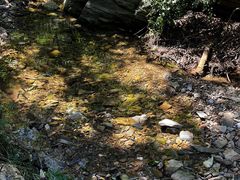 -金龙寺国家森林公园