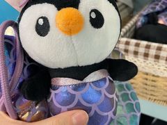 -上海海昌海洋公园