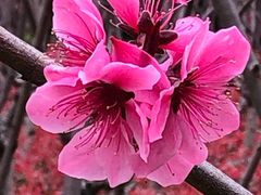 -上海市龙华烈士陵园