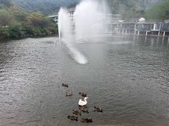 -天目湖涵田度假村