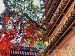 -国恩寺