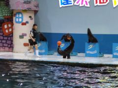 -蓬莱欧乐堡海洋极地世界