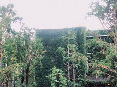 -百林公园-两江幸福广场