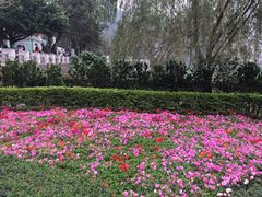 -龙环葡韵住宅式博物馆