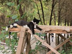 -四门塔风景区
