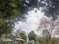 -森波拉奇妙世界