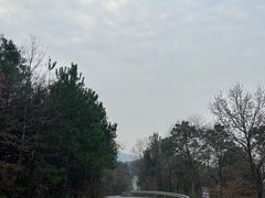 -苏州上方山国家森林公园