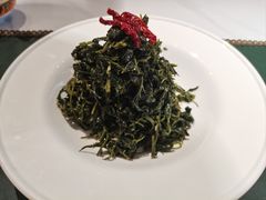 -宴遇天山