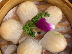 金牌虾饺皇-江南村酒家