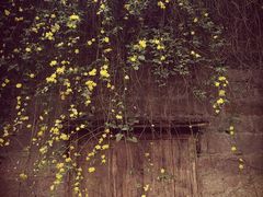 -两江国际影视城