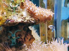 -太平洋海底世界博览馆·展览厅