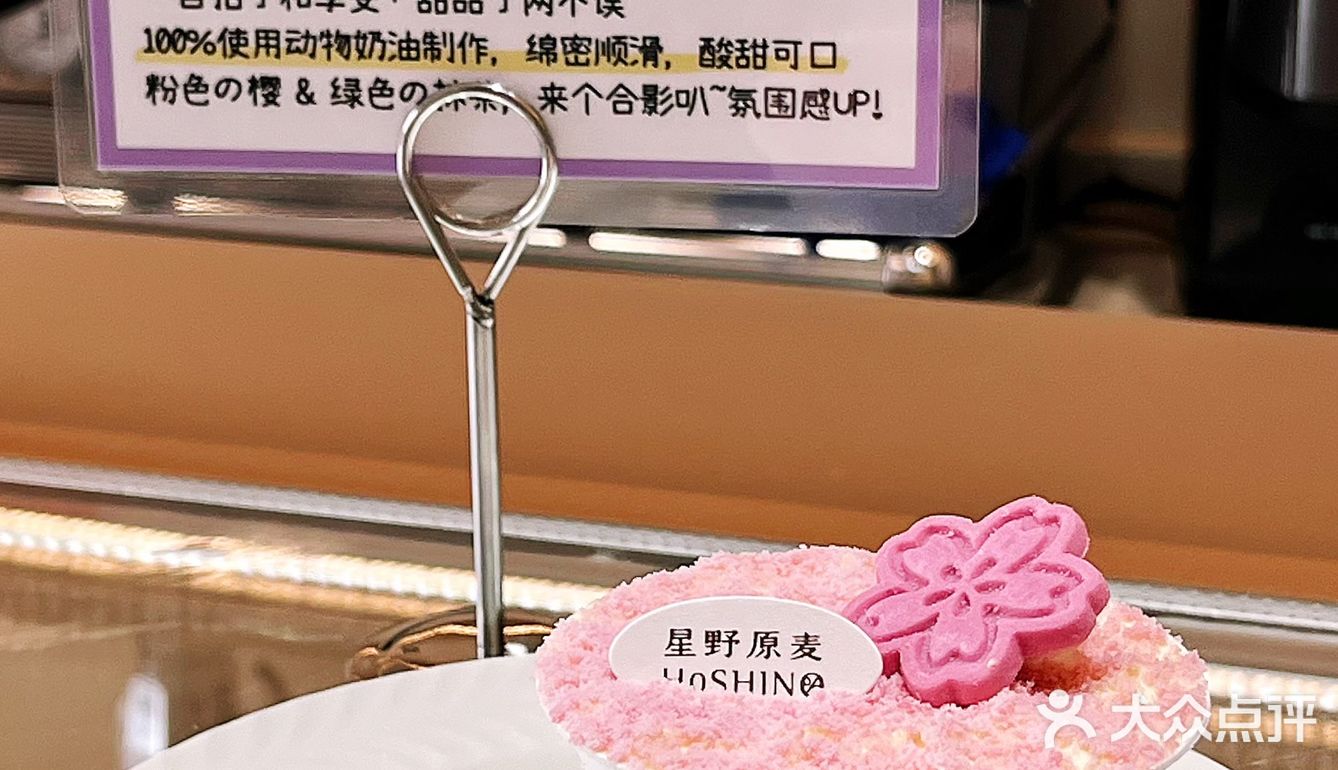 樱花提拉米苏🌸武汉的春日限定粉
