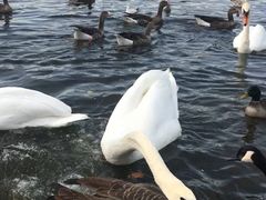 -海德公园
