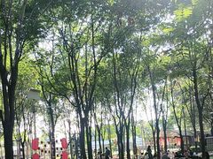 -草根堂农场
