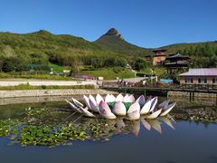 -帽儿山风景区