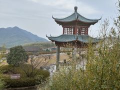 -江南天池