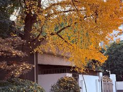 -鼓楼(西湖风景名胜区)