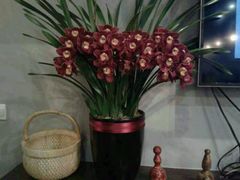 -疆Jiang·新疆秘制料理