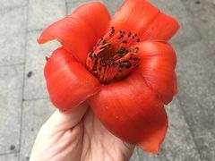 -海口骑楼小吃街