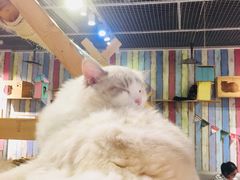 -小时光咖啡馆(开森度假森林店)