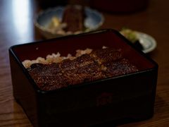 柴藤流鳗鱼饭-本家 柴藤