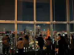 -六本木新城展望台(东京城市景观)