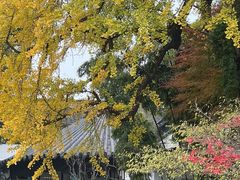 -小雅青年旅舍(平江路店)