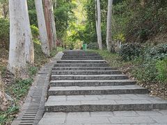 -火炉山森林公园