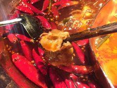 -辣伍鲜毛肚老火锅(元一店)