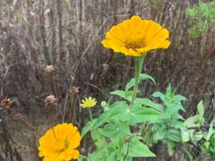 -紫海香堤香草艺术庄园