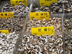 -舌尖上·霞浦滩涂海鲜·新闽菜(总店)