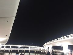 -演武大桥观景平台