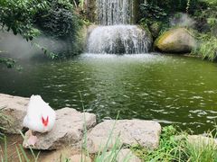 -天津盘山风景名胜区