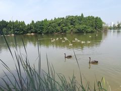 -艾溪湖湿地公园