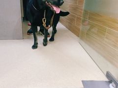 -爱侣宠医·鹦鹉专科·小型哺乳类·异宠专科(灵石路店)