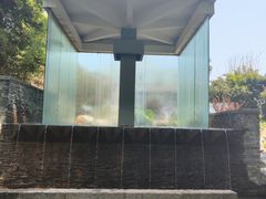 -昆明植物园