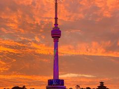 -循礼门鲜花花市(武汉循礼门店)