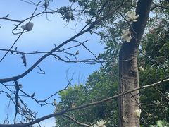 -燕晗山郊野公园
