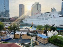 -润园四季椰子鸡火锅(海上世界店)