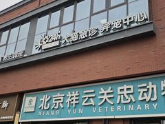 -瑞派·关忠动物医院猫科外科·异宠·24小时转诊中心(祥云店)